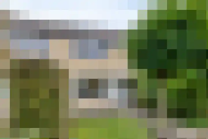 P.K.Pelstraat 40 Drachten thumbnail 42