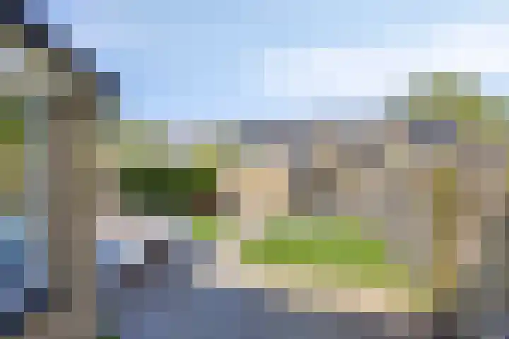 P.K.Pelstraat 66 Drachten thumbnail 31