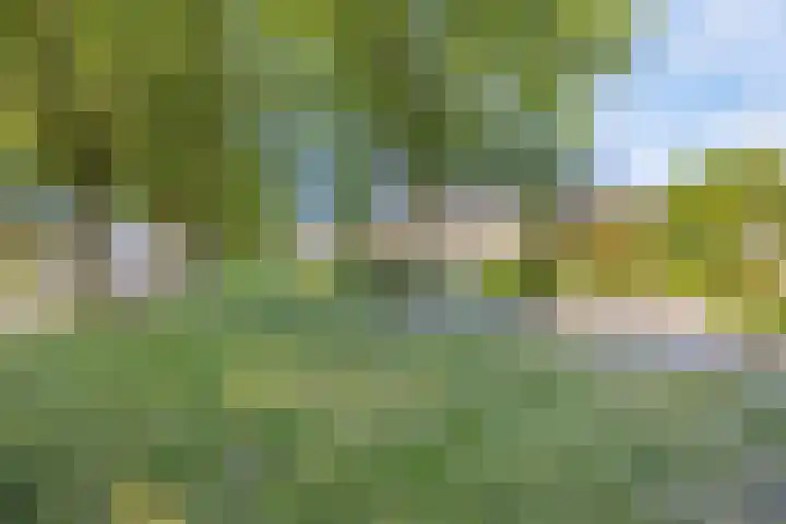 P.K.Pelstraat 66 Drachten thumbnail 36