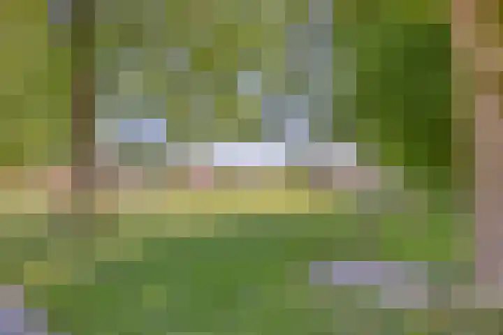 P.K.Pelstraat 66 Drachten thumbnail 37