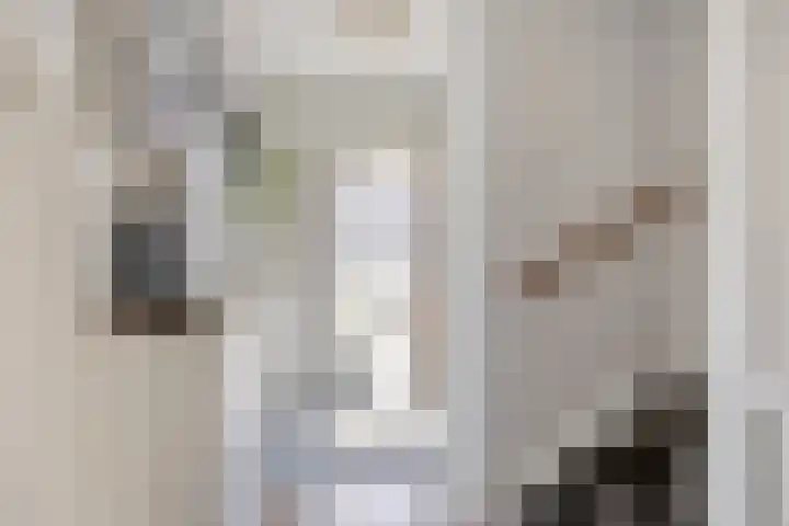 P.K.Pelstraat 66 Drachten thumbnail 6