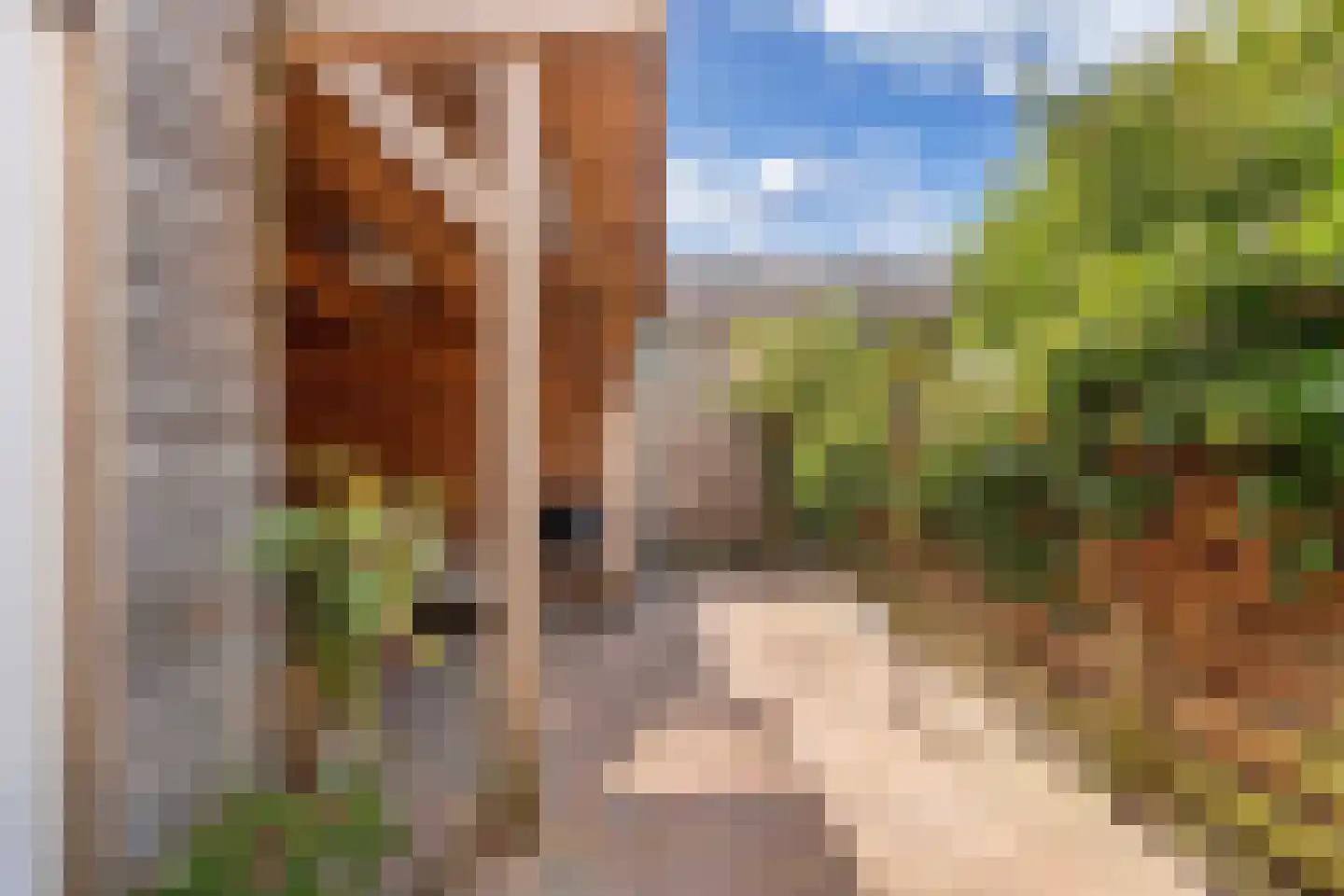 P.K.Pelstraat 96 Drachten thumbnail 38