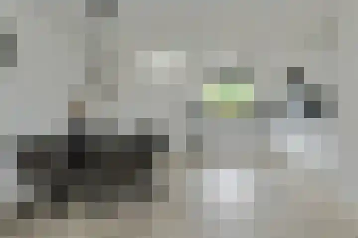 P. Ketelaarstraat 12 Raamsdonksveer thumbnail 12