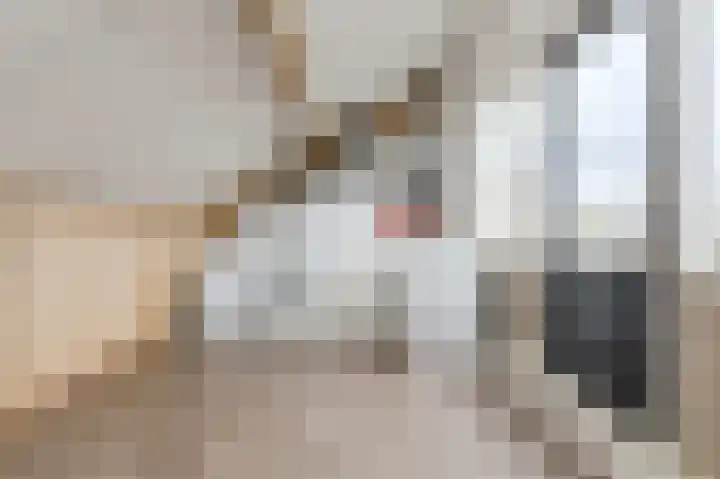 P. Ketelaarstraat 12 Raamsdonksveer thumbnail 35