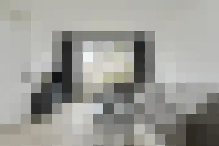 P. Ketelaarstraat 12 Raamsdonksveer thumbnail 9