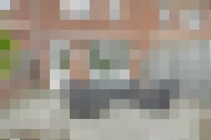 P. Ketelaarstraat 42 Raamsdonksveer thumbnail 28