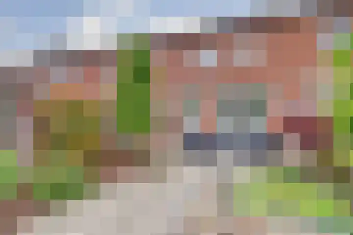 P. Ketelaarstraat 42 Raamsdonksveer thumbnail 29