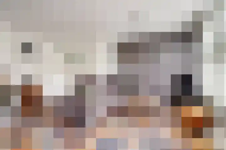P. Ketelaarstraat 42 Raamsdonksveer thumbnail 8