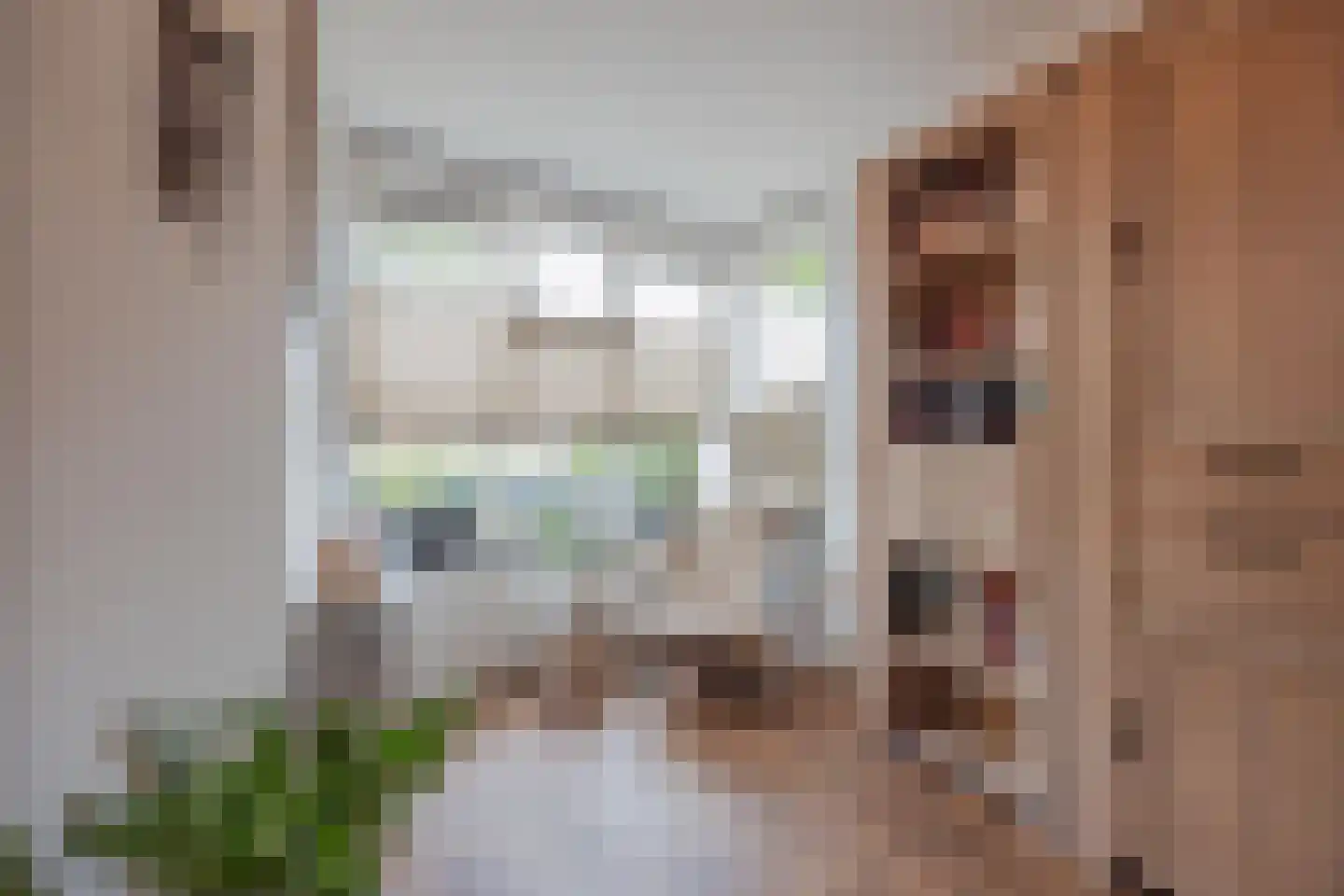 P. Ketelaarstraat 50 Raamsdonksveer thumbnail 17
