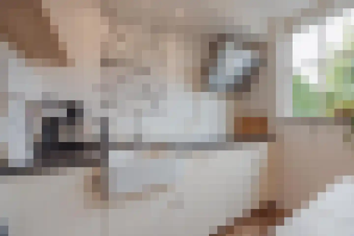 P. Ketelaarstraat 50 Raamsdonksveer thumbnail 23