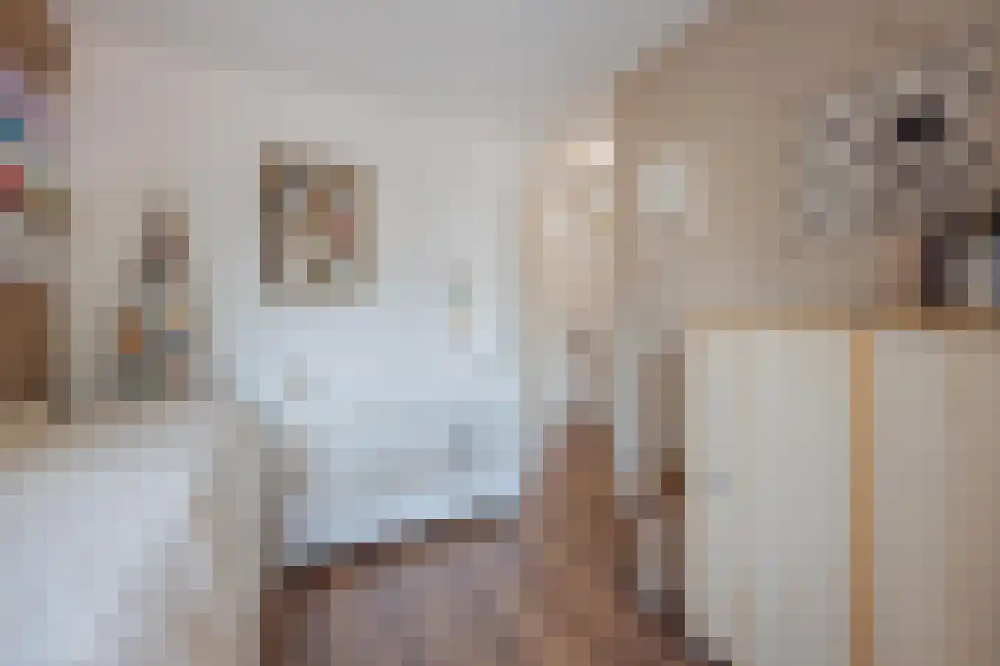 P. Ketelaarstraat 50 Raamsdonksveer thumbnail 34