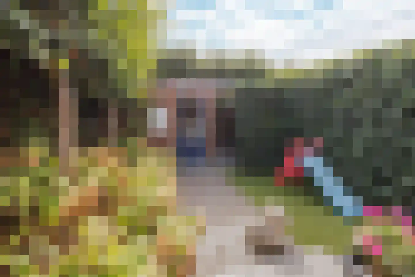 P. Ketelaarstraat 50 Raamsdonksveer thumbnail 43