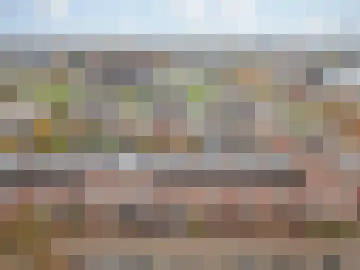 P. Ketelaarstraat 8 Raamsdonksveer thumbnail 7
