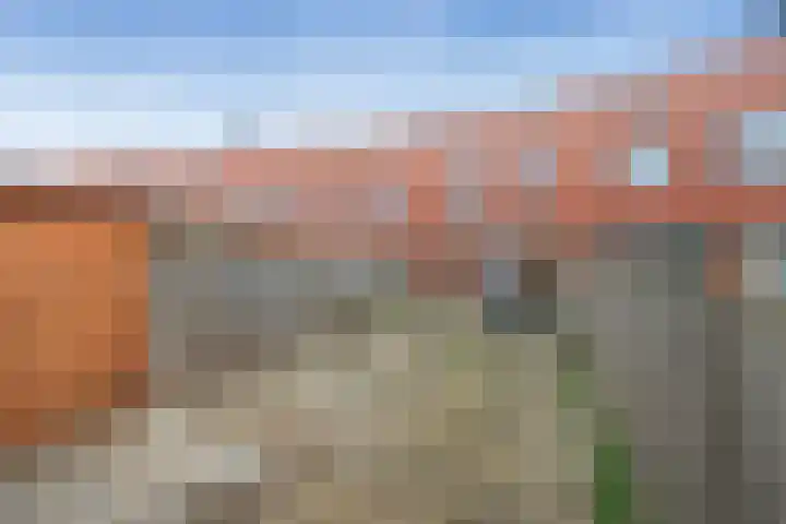 P.L. Marnettestraat 39 Assendelft thumbnail 10