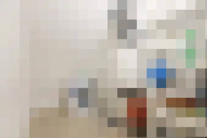 P.L. Marnettestraat 39 Assendelft thumbnail 32