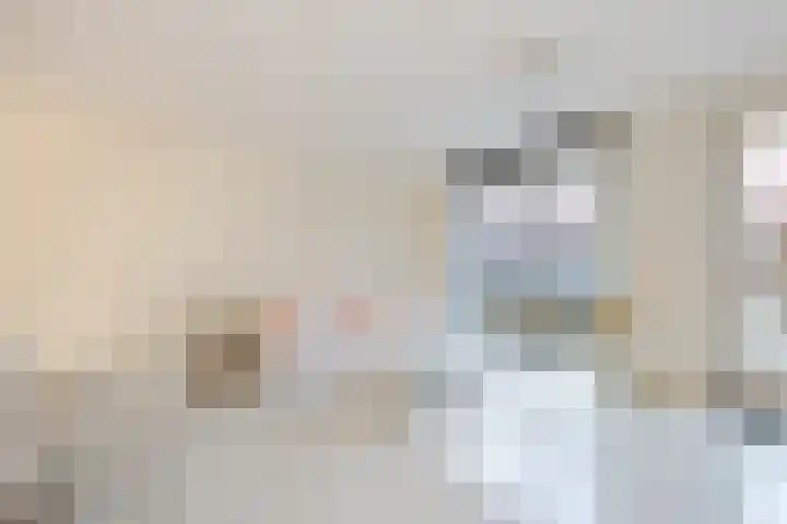 P.L. Marnettestraat 39 Assendelft thumbnail 4