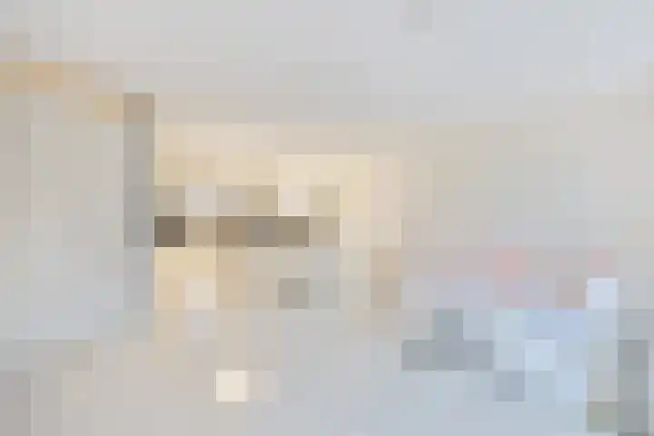P.L. Marnettestraat 39 Assendelft thumbnail 5
