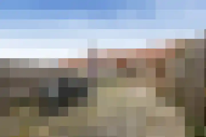 P.L. Marnettestraat 39 Assendelft thumbnail 8