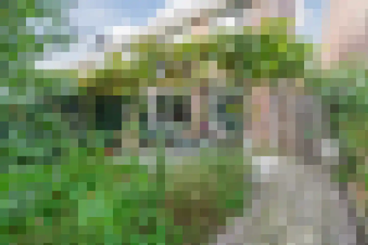 P.L. Takstraat 20 Zaandam thumbnail 18