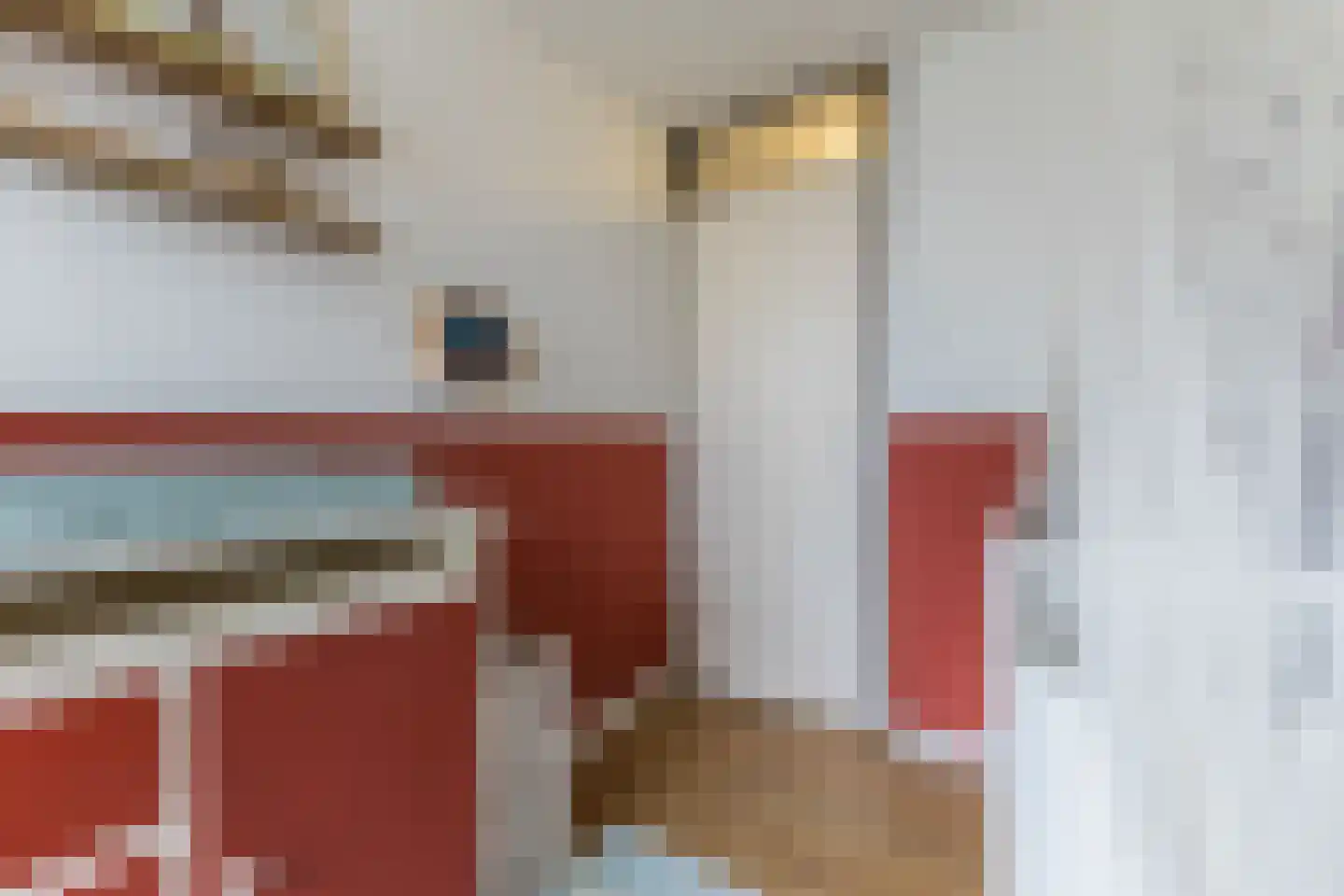 P.L. Takstraat 20 Zaandam thumbnail 35