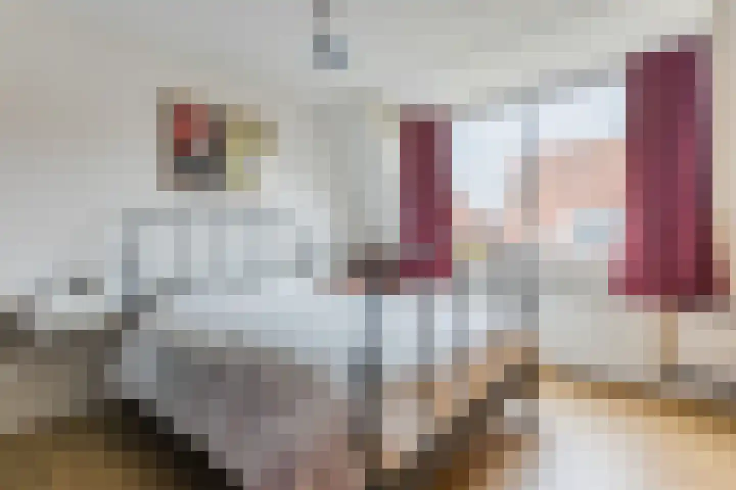 P.L. Takstraat 20 Zaandam thumbnail 36