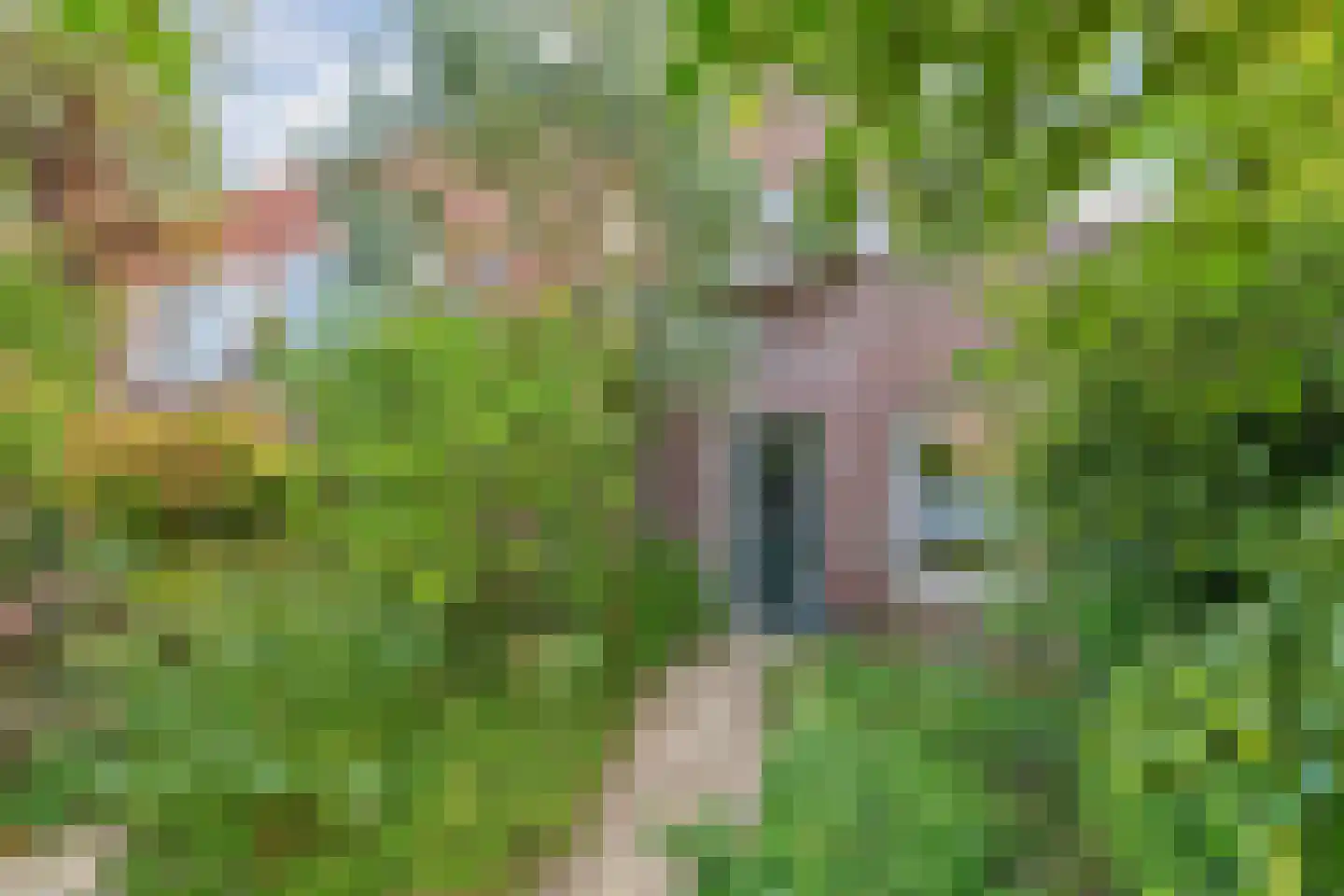 P.L. Takstraat 20 Zaandam thumbnail 4
