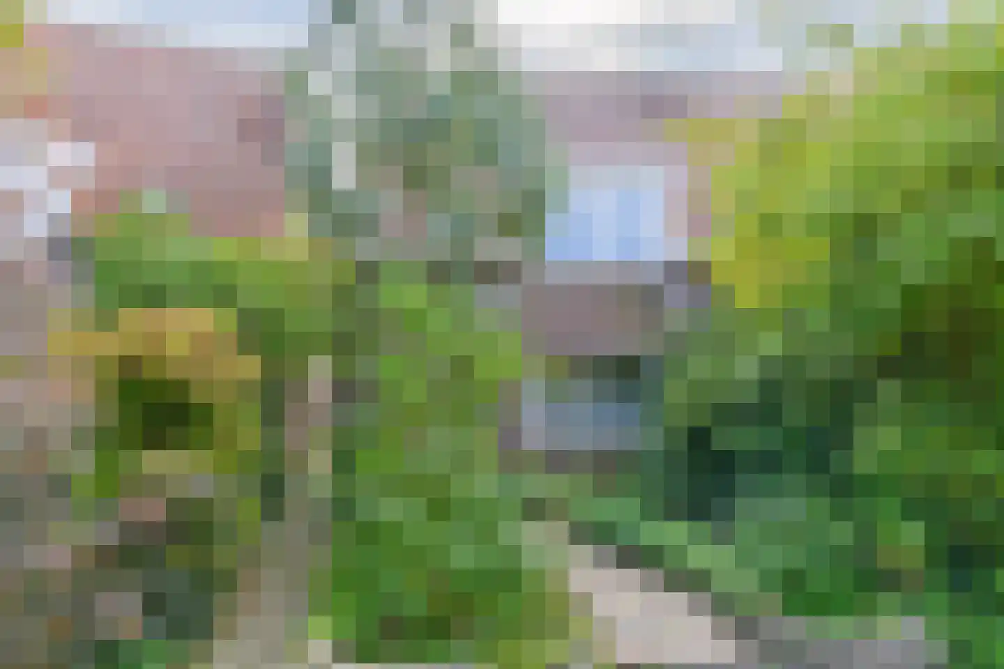 P.L. Takstraat 20 Zaandam thumbnail 50