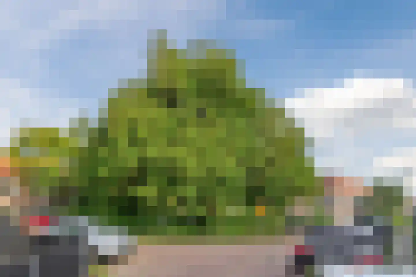 P.L. Takstraat 20 Zaandam thumbnail 62