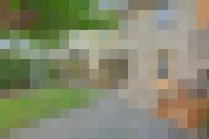 P. Lieftincklaan 13 Winterswijk thumbnail 31