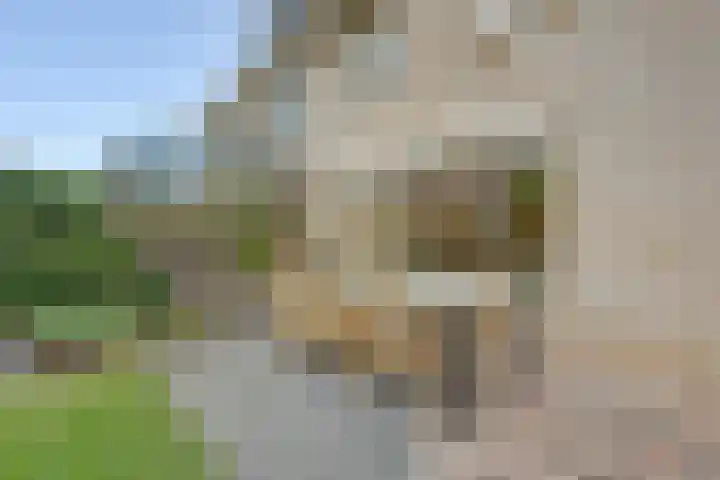 P. Lieftincklaan 13 Winterswijk thumbnail 34