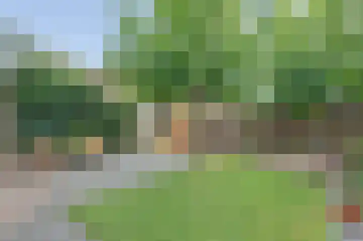 P. Lieftincklaan 13 Winterswijk thumbnail 35