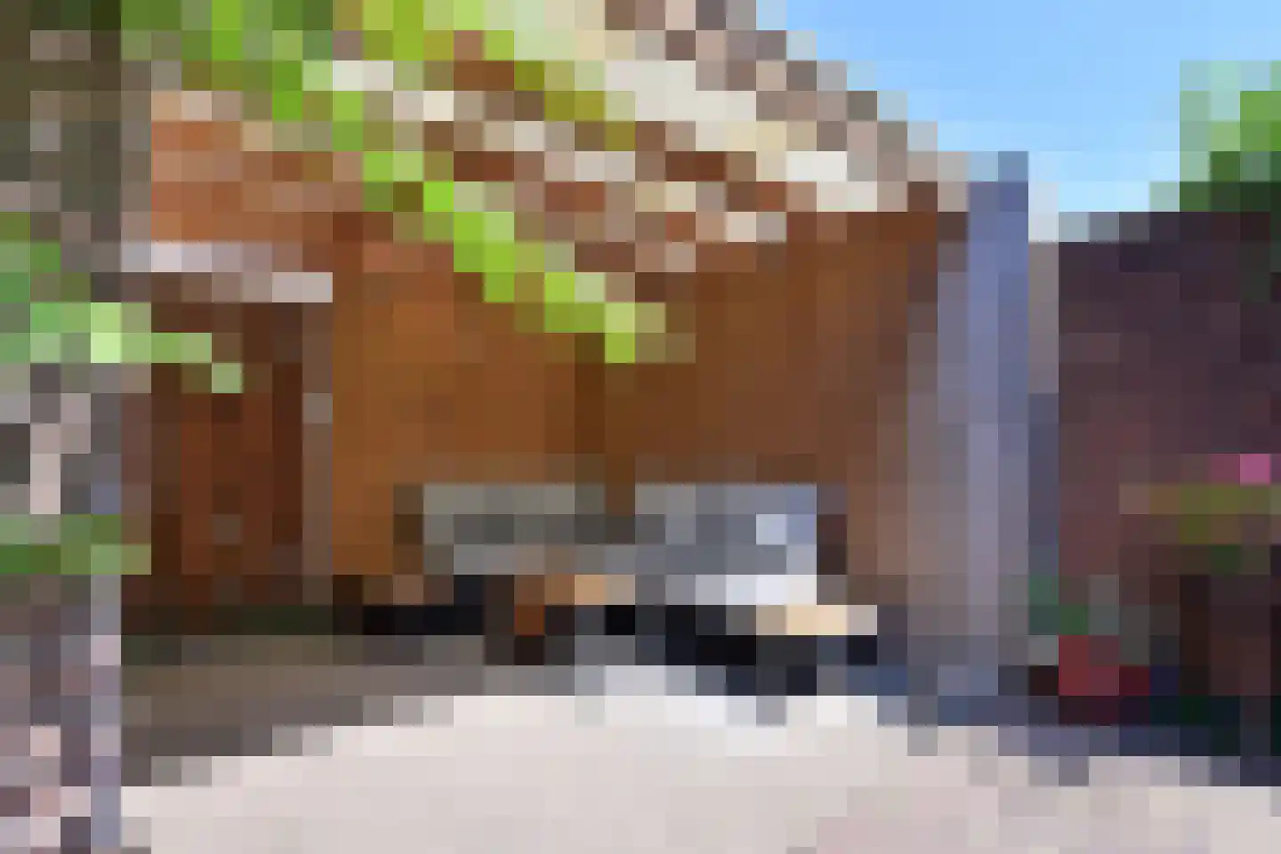 P.M.R. Versteeghstraat 3 Bussum thumbnail 13