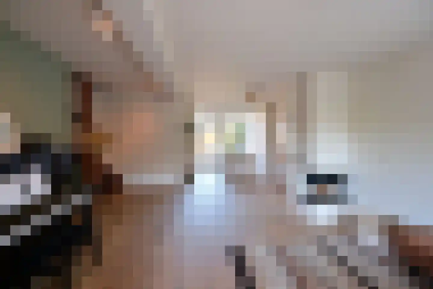 P.M.R. Versteeghstraat 3 Bussum thumbnail 4