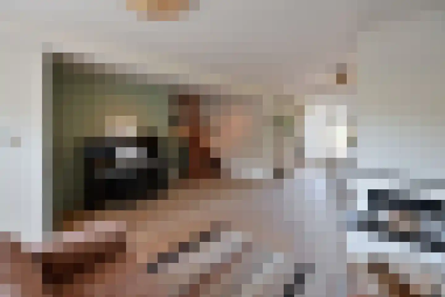 P.M.R. Versteeghstraat 3 Bussum thumbnail 7