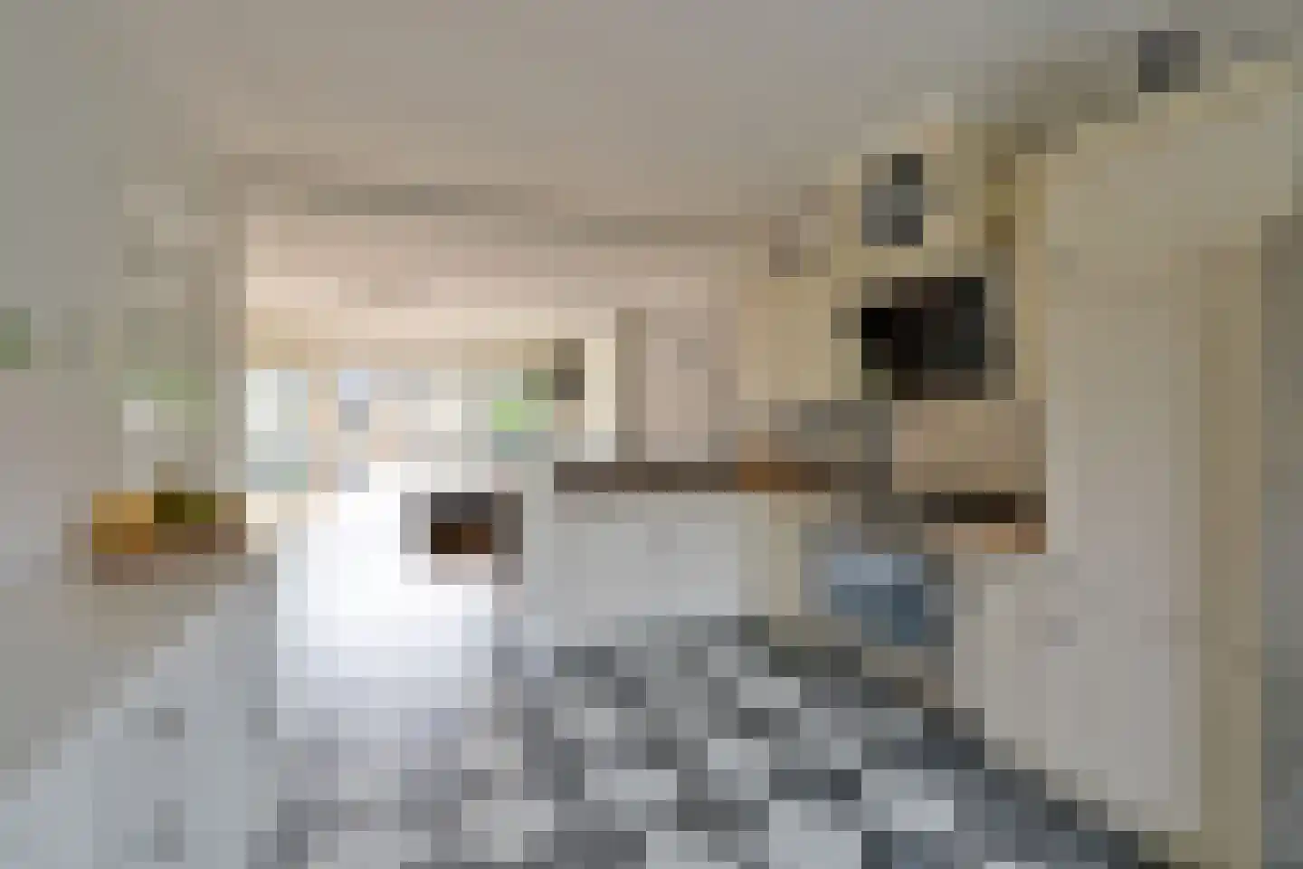 P.M.R. Versteeghstraat 32 Bussum thumbnail 9