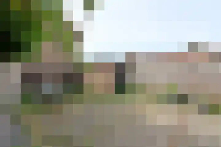 P.M.R. Versteeghstraat 6 Bussum thumbnail 12