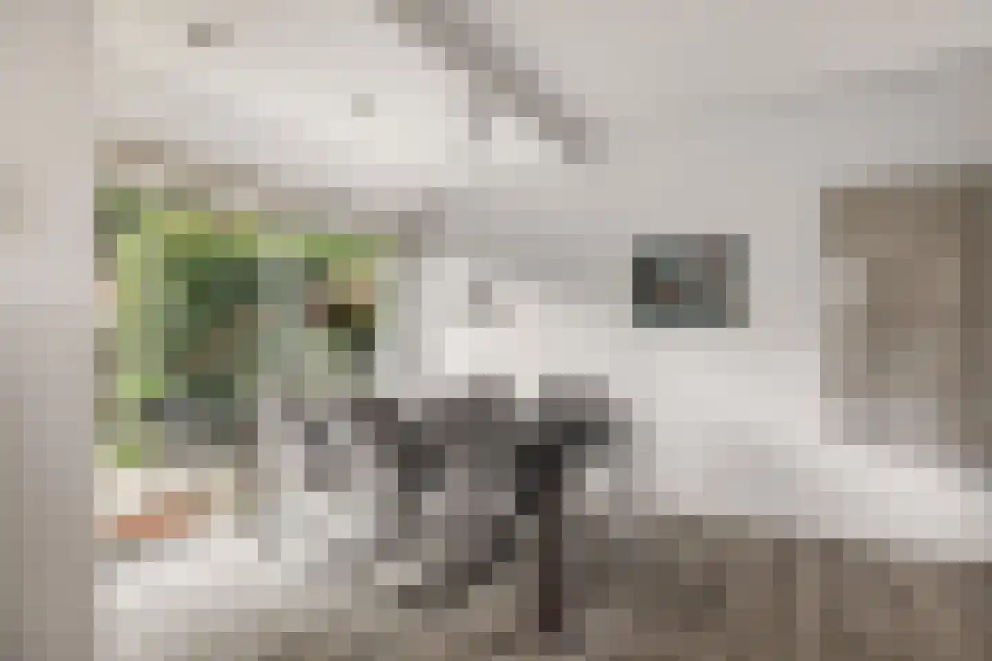 P.N. Kruiswijkstraat 2 Loenersloot thumbnail 11