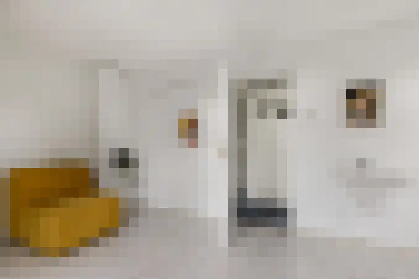 P.N. Kruiswijkstraat 2 Loenersloot thumbnail 20
