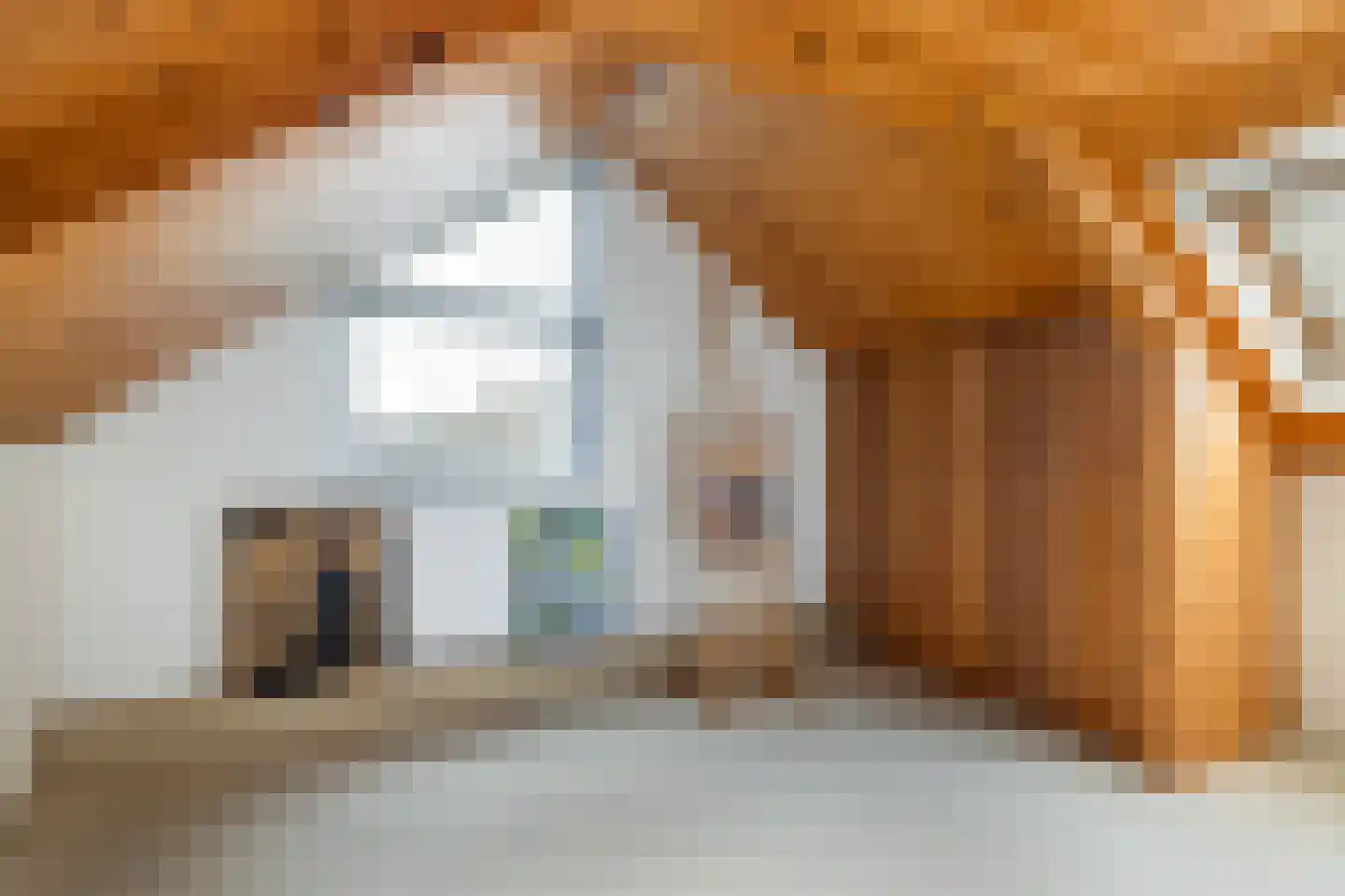 P.N. Kruiswijkstraat 2 Loenersloot thumbnail 25