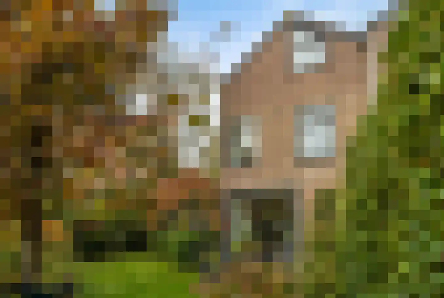 P.N. Kruiswijkstraat 2 Loenersloot thumbnail 28