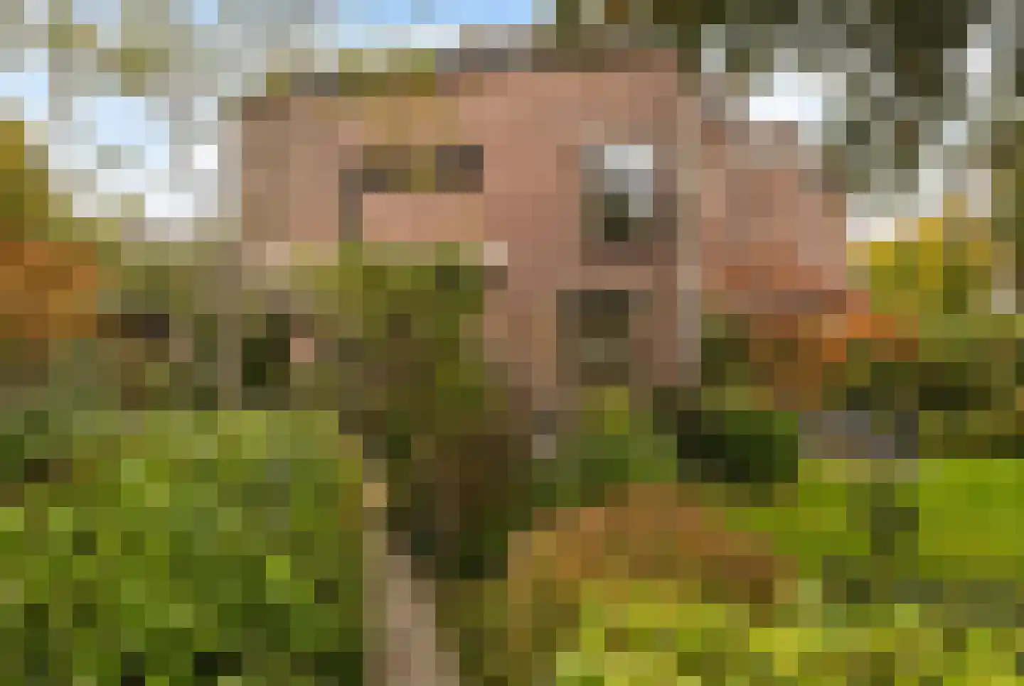 P.N. Kruiswijkstraat 2 Loenersloot thumbnail 31