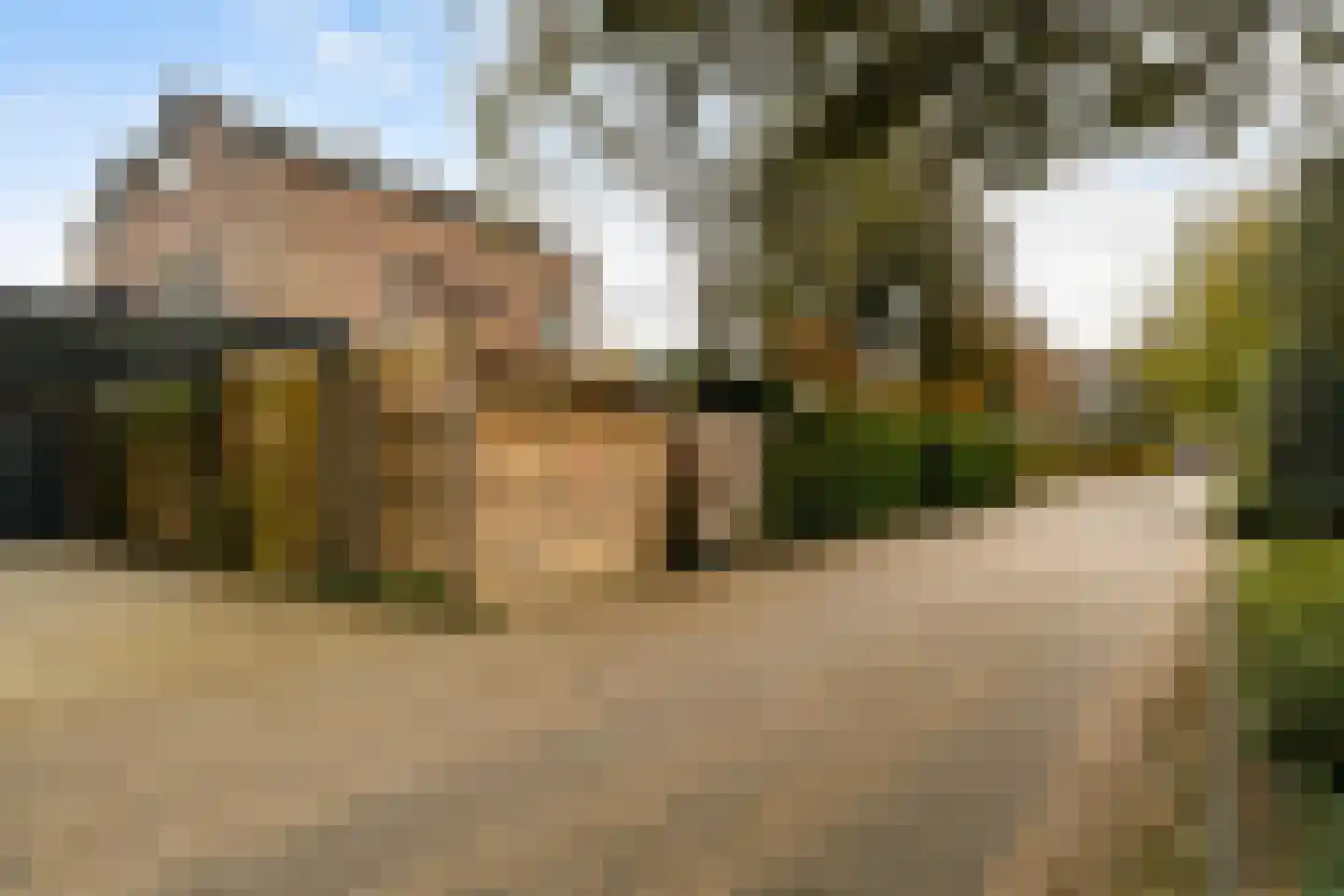 P.N. Kruiswijkstraat 2 Loenersloot thumbnail 34