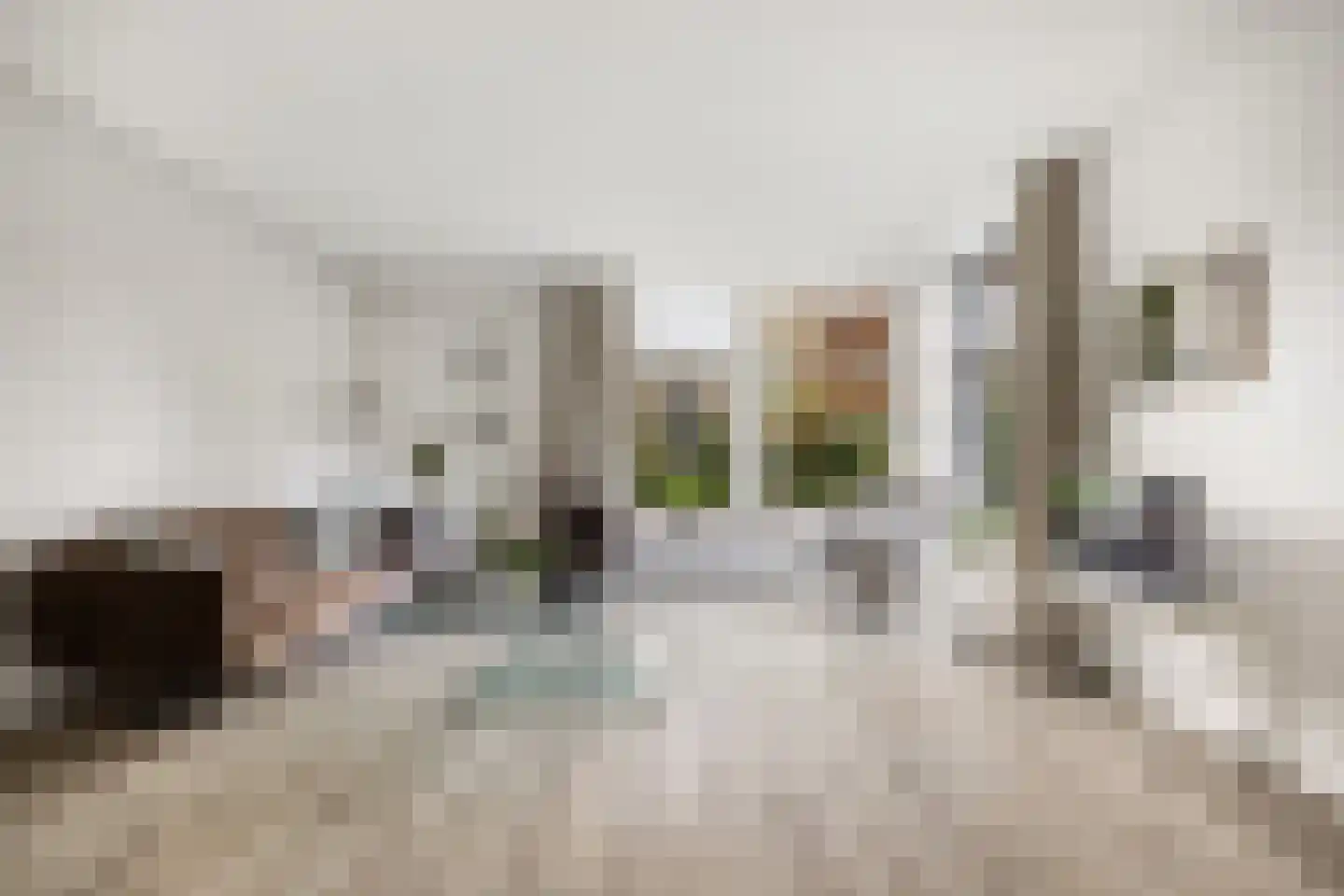 P.N. Kruiswijkstraat 2 Loenersloot thumbnail 4