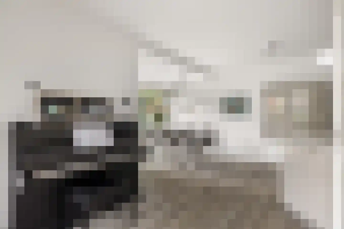 P.N. Kruiswijkstraat 2 Loenersloot thumbnail 5
