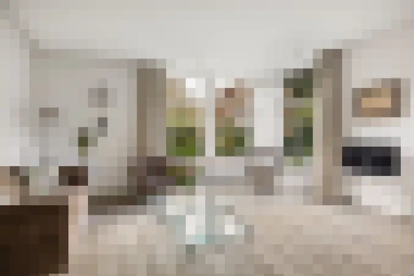 P.N. Kruiswijkstraat 2 Loenersloot thumbnail 7