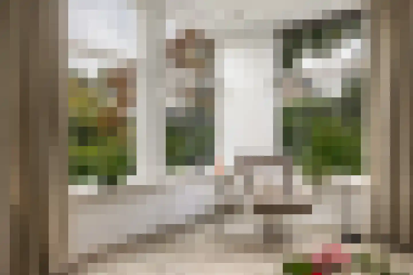 P.N. Kruiswijkstraat 2 Loenersloot thumbnail 8