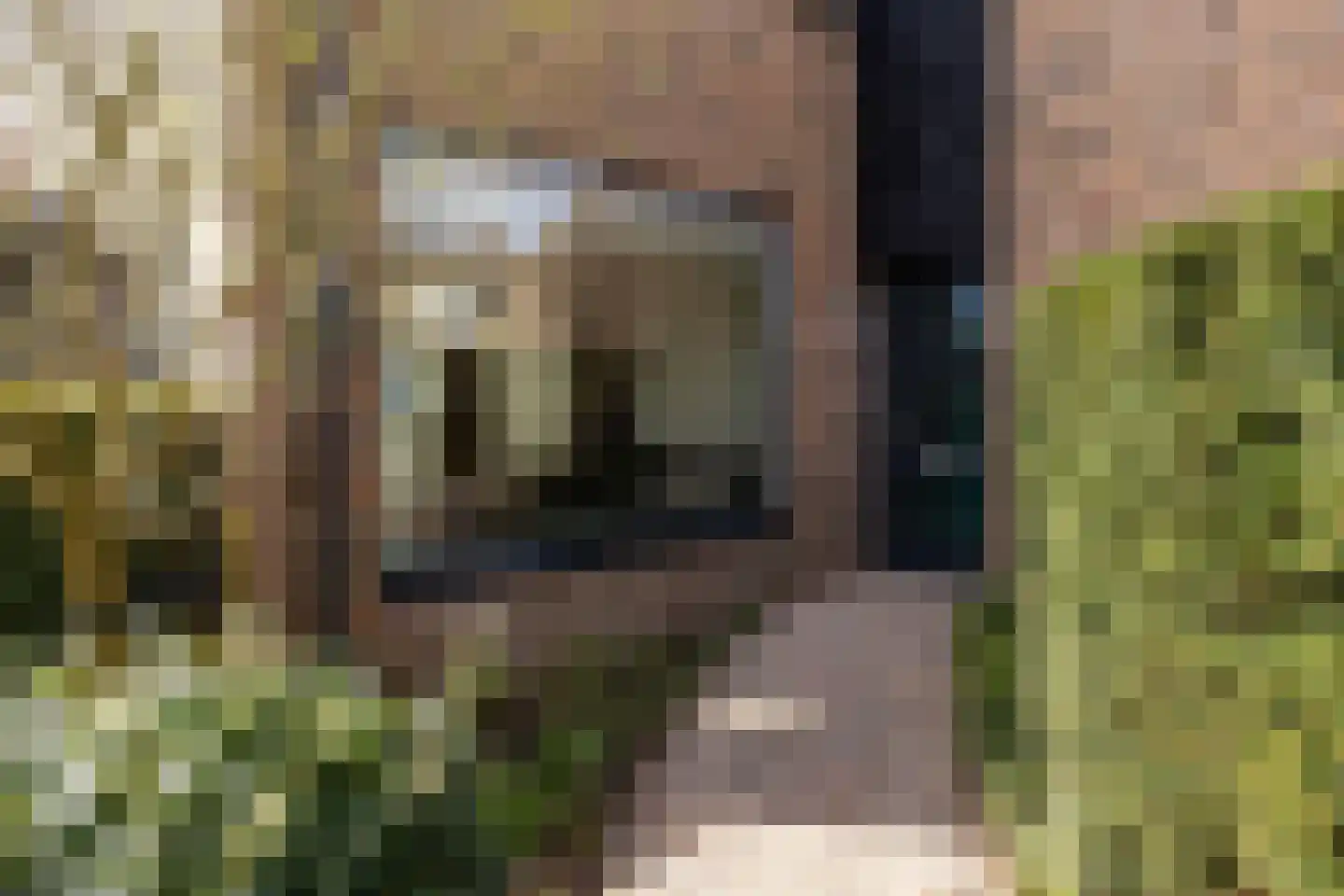P.N. Kruiswijkstraat 38 Loenersloot foto 2