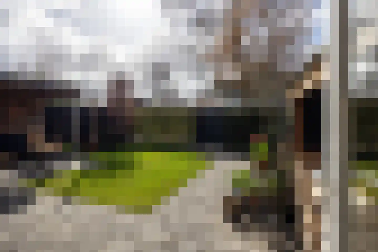 P.N. Kruiswijkstraat 38 Loenersloot thumbnail 26