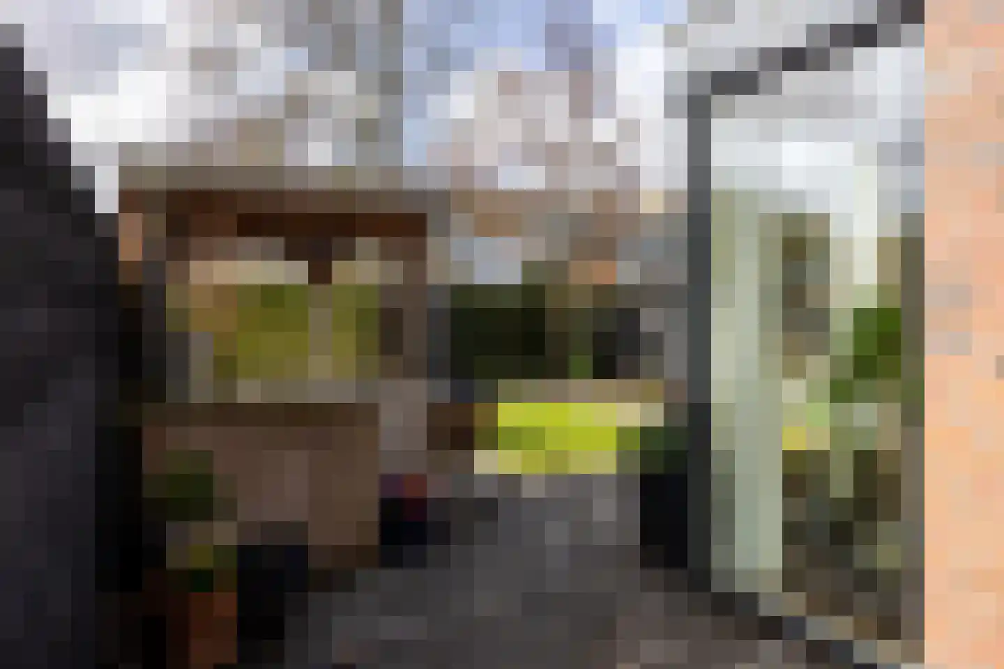 P.N. Kruiswijkstraat 38 Loenersloot thumbnail 28