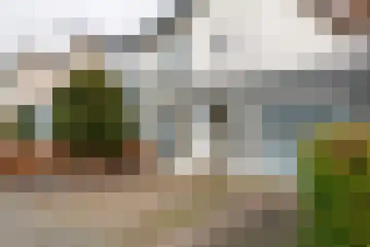 P. Oosterleestraat 11 Tiel thumbnail 10